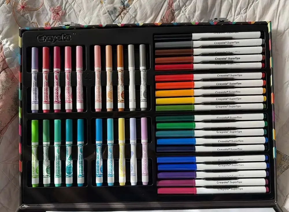 Crayola Chevron Pattern Art Case